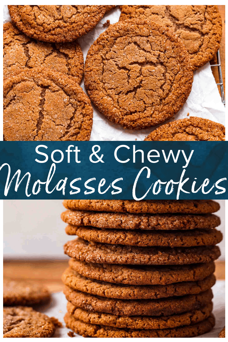 Soft Molasses Cookies Recipe - The Cookie Rookie (VIDEO!)