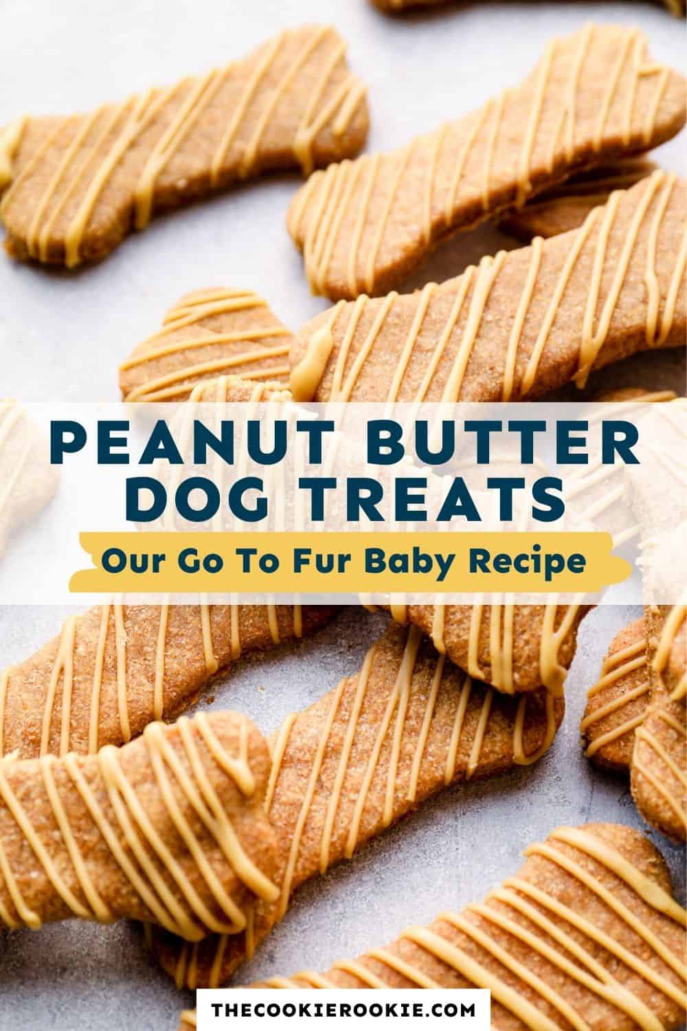 Homemade Dog Treats Recipe - Peanut Butter Dog Treats (How-to Video) 