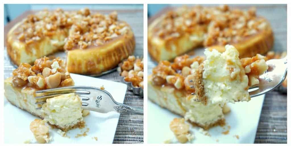 Caramel Macadamia Cheesecake The Cookie Rookie 6657