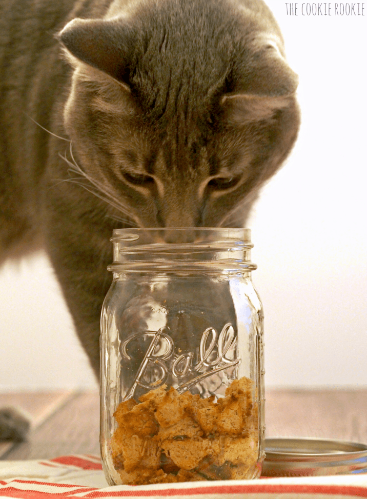 Homemade Salmon and Catnip Cat Treats The Cookie Rookie