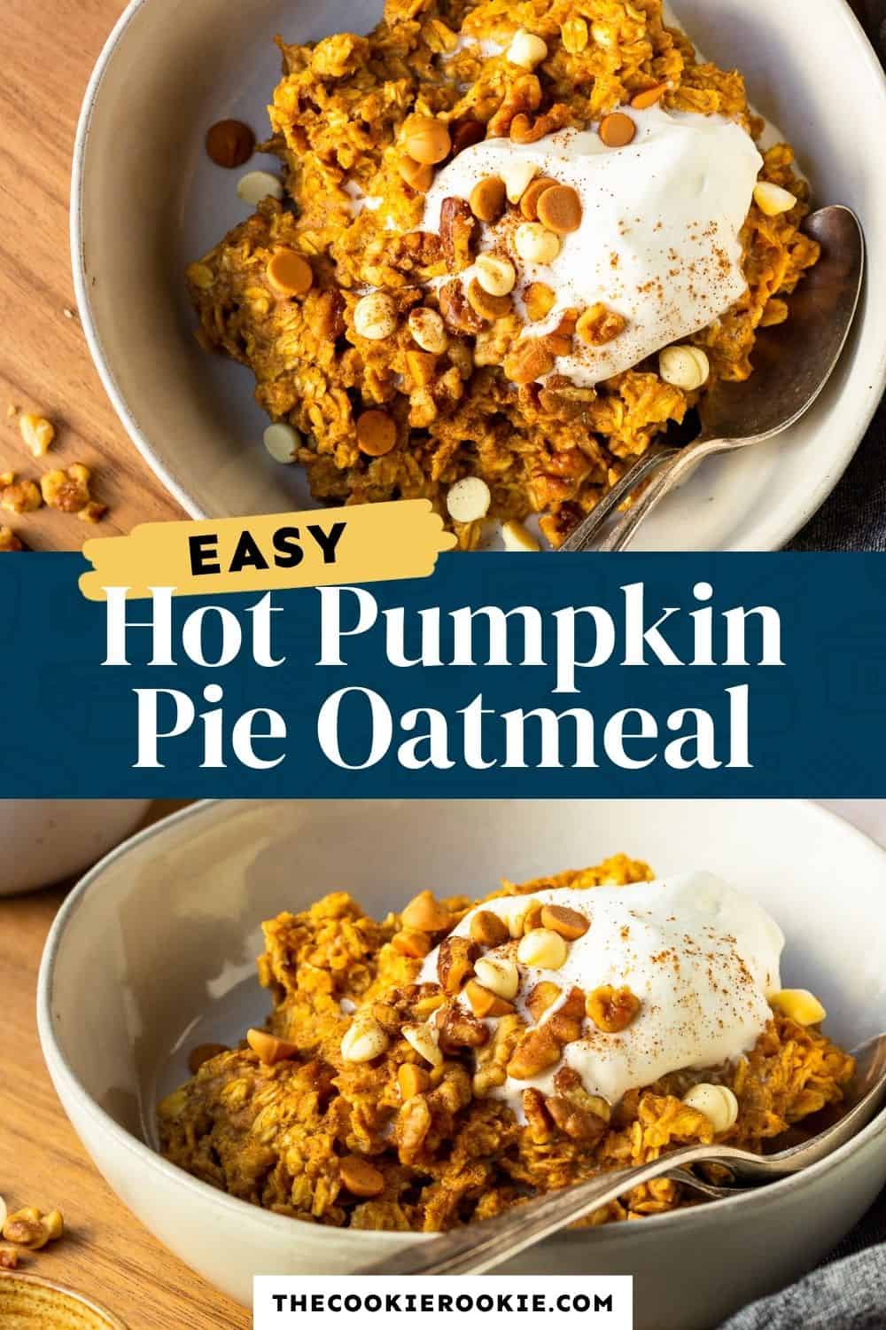 Easy Pumpkin Oatmeal (Pumpkin Pie Microwave Oatmeal) Recipe - The ...