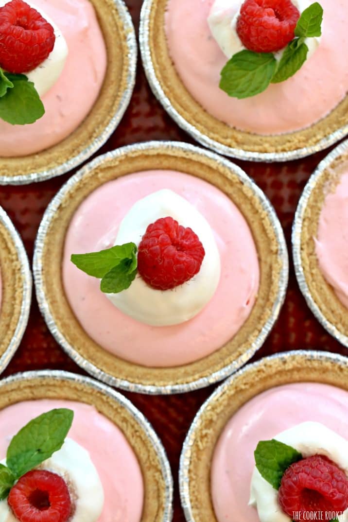 Raspberry Yogurt Tarts The Cookie Rookie