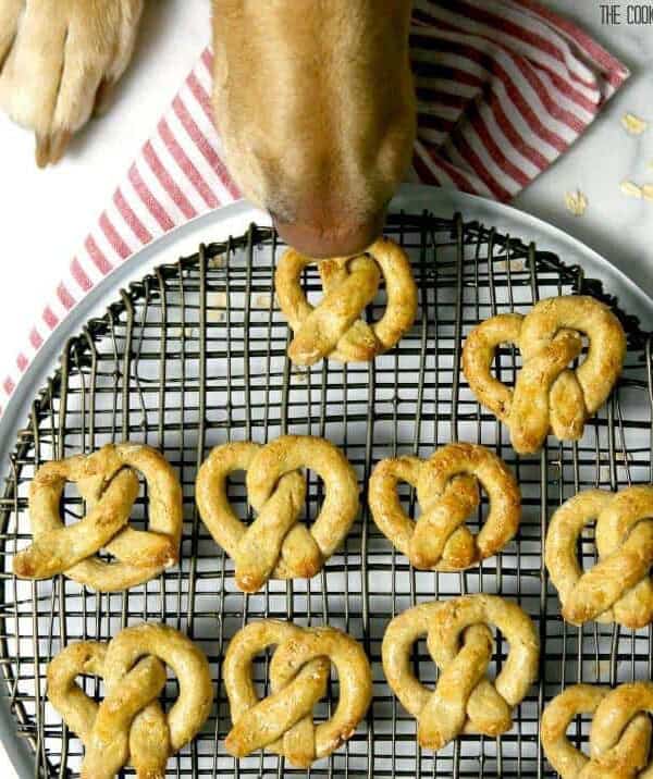 Oat and Apple Pretzel Dog Treats! ONLY FOUR INGREDIENTS! These smell good, are easy, and will make your pup's life very happy!