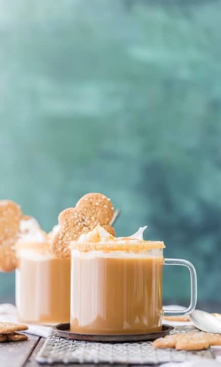 Slow Cooker Gingerbread Latte Recipe The Cookie Rookie®