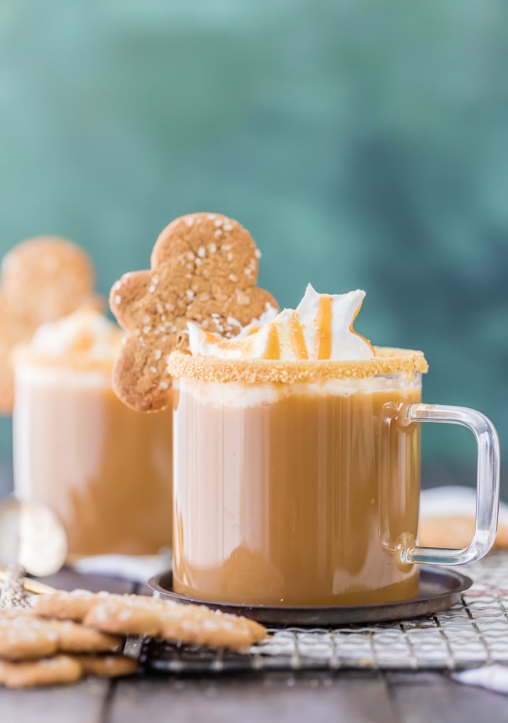 Slow Cooker Gingerbread Latte The Cookie Rookie®
