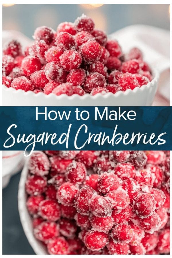 Sugared Cranberries Recipe The Cookie Rookie® 3658