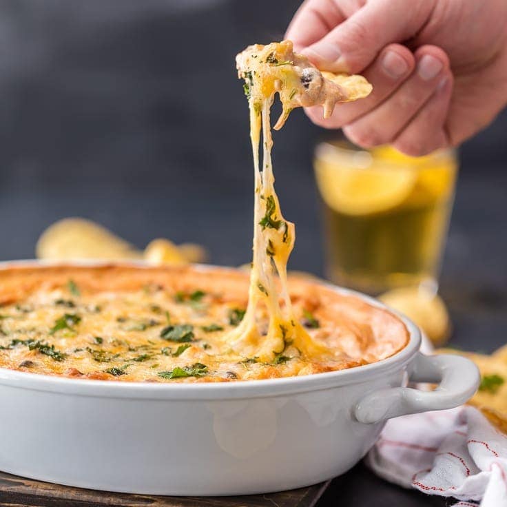 Spicy Cheesy Chicken Enchiladas Dip - The Cookie Rookie®