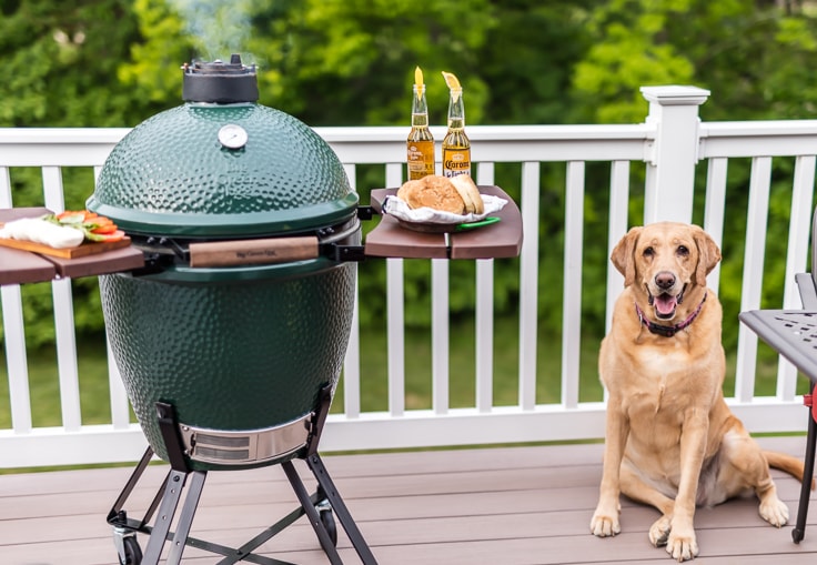 dog sitting next to a grill on a deck