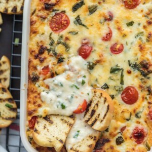 Cheesy Tomato Mozzarella Caprese Dip Recipe - 42