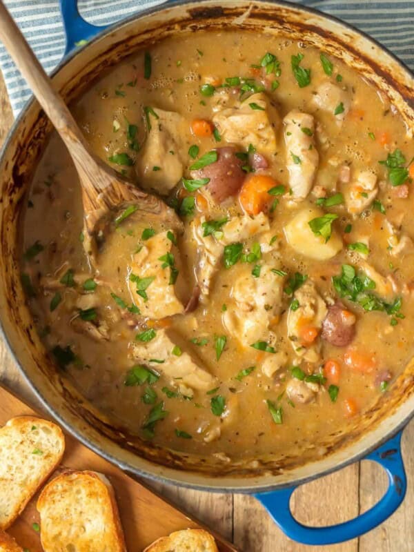 white wine chicken stew in dutch oven