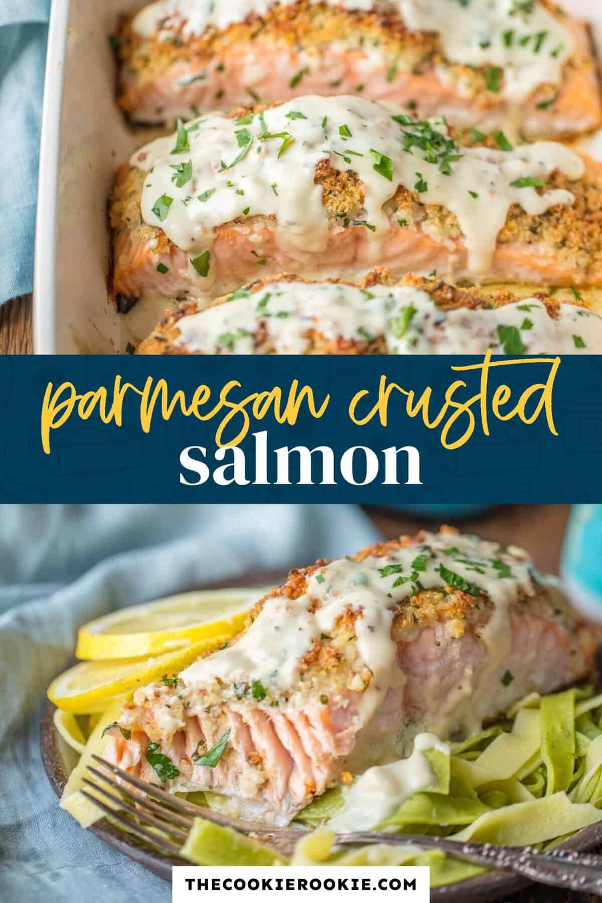 Parmesan Crusted Salmon Recipe - The Cookie Rookie®