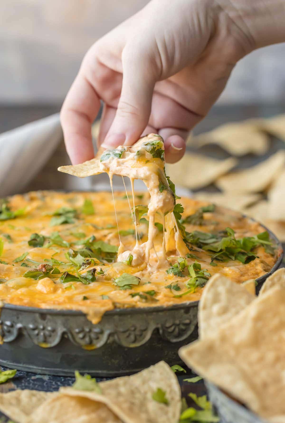 Green Chile Chicken Enchilada Dip - The Cookie Rookie®