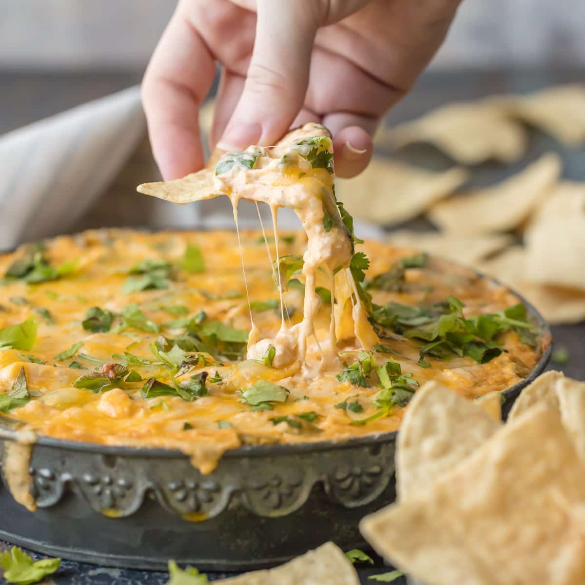 Green Chile Chicken Enchilada Dip - The Cookie Rookie®