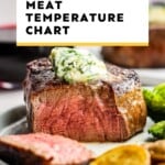 Steak Temperature Chart - Pre