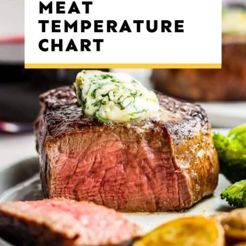 Complete Meat Temperature Cooking Guide- Chicken Beef Pork & Salmon!