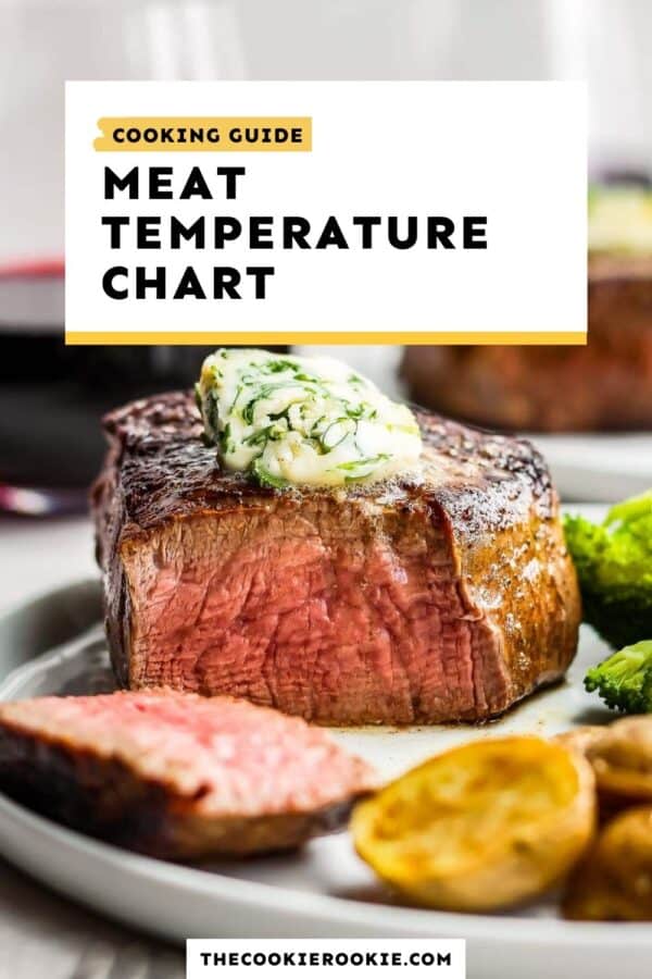  Internal Temperature Guide Magnet - Meat Temperature Chart -  Beef, Chicken & Poultry, Fish, Pork - Magnetic Meat Doneness Chart -  Brisket, Rare, Medium, Well - Small Meat Cooking Temp Guide 