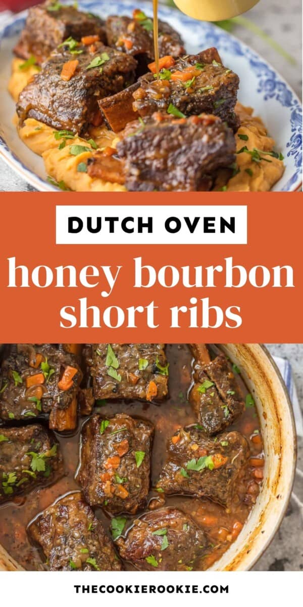 dutch oven short ribs pin