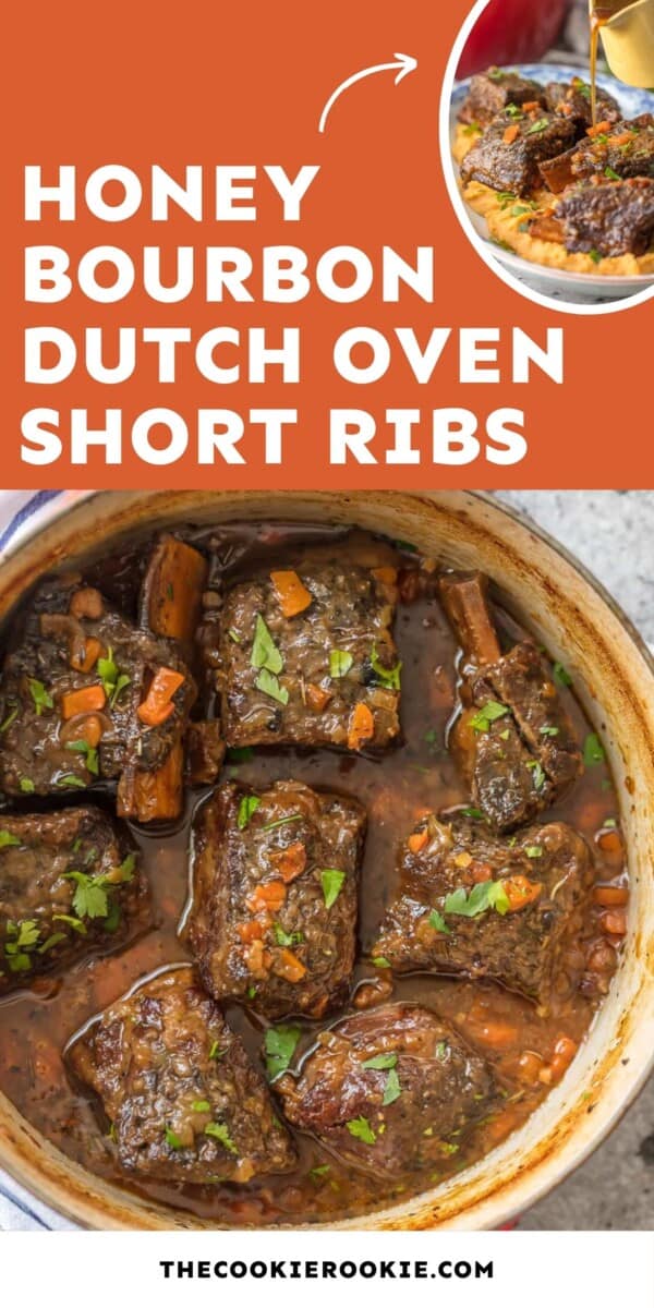 dutch oven short ribs pin