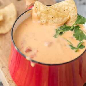 Beer Cheese Dip Recipe  Only 4 Ingredients  - 59