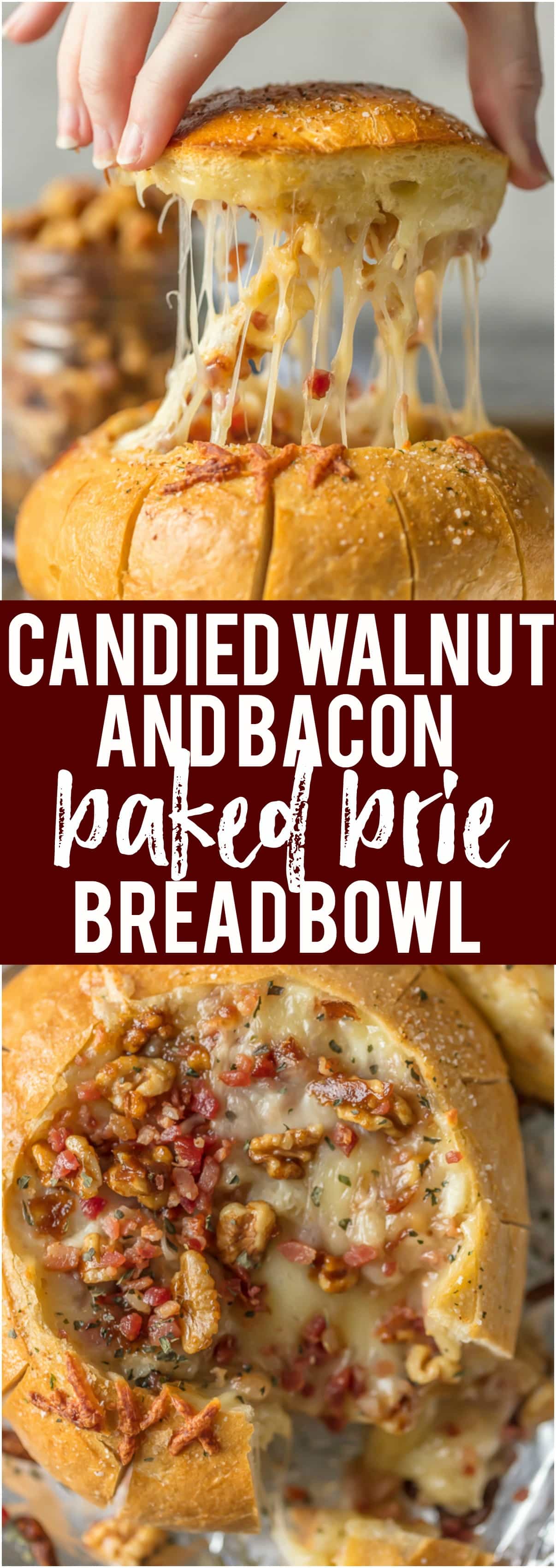 Your holiday table needs this CANDIED WALNUTS AND BACON BAKED BRIE BREAD BOWL! The ultimate pretty savory appetizer cheese lovers will devour! #christmas #holiday #cheese #bakedbrie