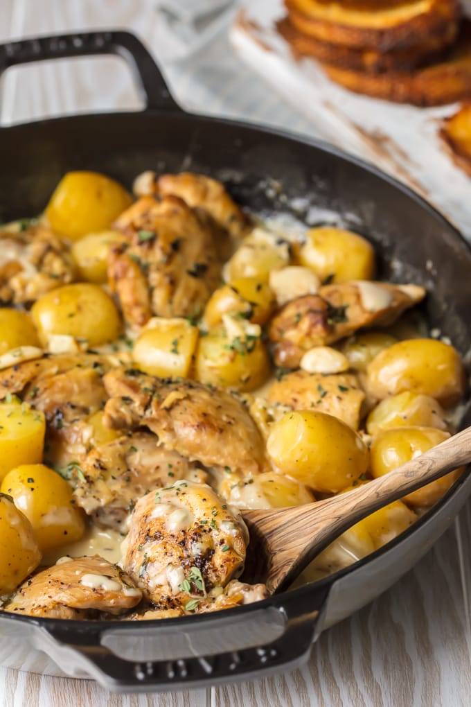 40 Clove Garlic Chicken and Potatoes with Cream Sauce in skillet