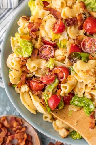 BLT Pasta Salad Recipe (VIDEO!!!) - The Cookie Rookie