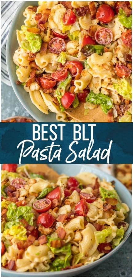 BLT Pasta Salad Recipe (VIDEO!!!) - The Cookie Rookie