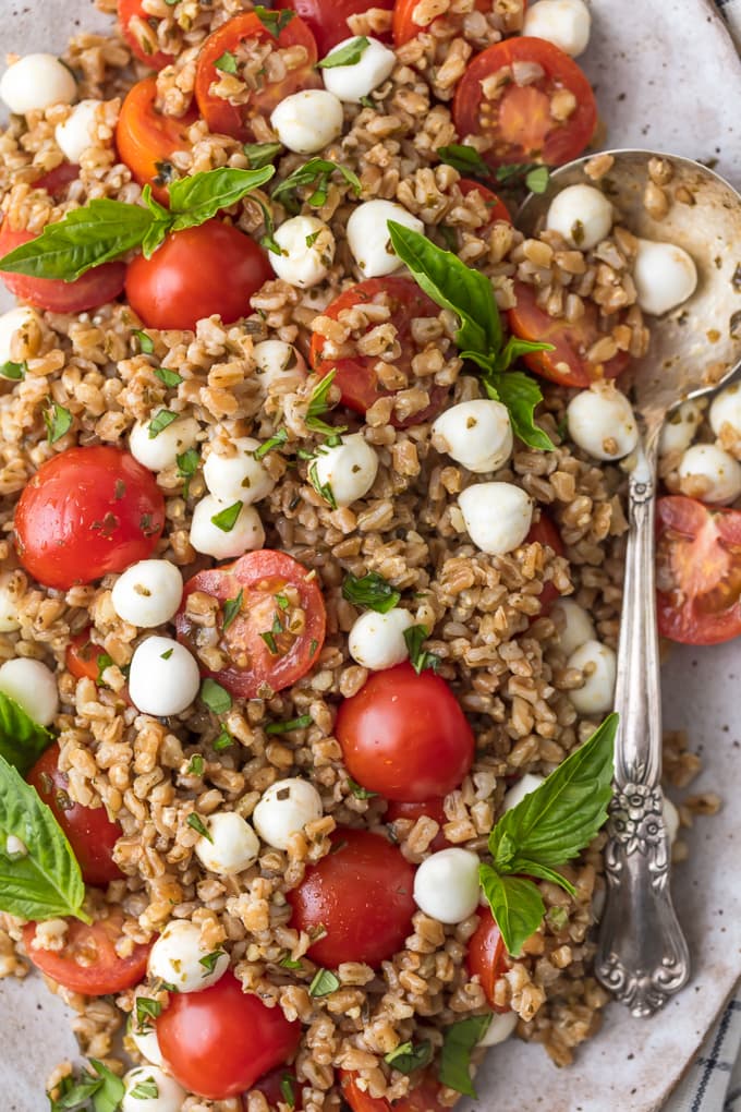 Caprese Farro Salad is a healthy side dish sure to please every member of the family. Caprese Salad with Farro is our favorite way to enjoy the best flavors; tomatoes, mozzarella, basil, and balsamic. Farro is such an easy and good for you grain to prepare and goes with just about any main dish. This Fresh Caprese Farro Salad Recipe is the perfect Summer Salad or meal!