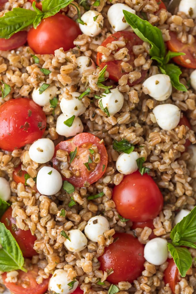 Caprese Farro Salad is a healthy side dish sure to please every member of the family. Caprese Salad with Farro is our favorite way to enjoy the best flavors; tomatoes, mozzarella, basil, and balsamic. Farro is such an easy and good for you grain to prepare and goes with just about any main dish. This Fresh Caprese Farro Salad Recipe is the perfect Summer Salad or meal!