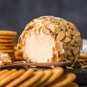 Cheese Ball Recipe - 33