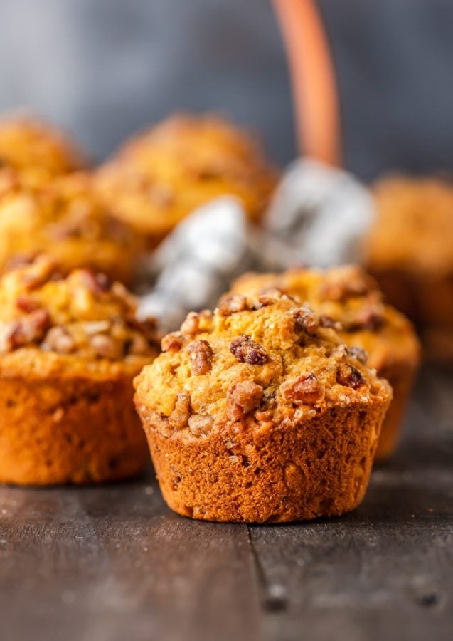 Pumpkin Muffins Recipe - The Cookie Rookie