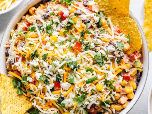 Fiesta Taco Dip Mix ~ Soup and Dipity ~ Renard's Artisan Cheese ~ WI