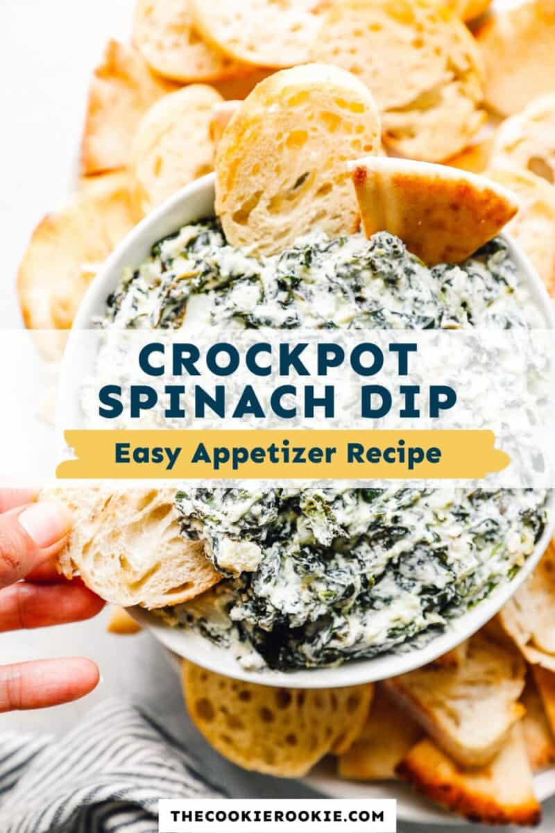 Easy Crockpot Dip Recipes  Dip recipes crockpot, Crock pot dips