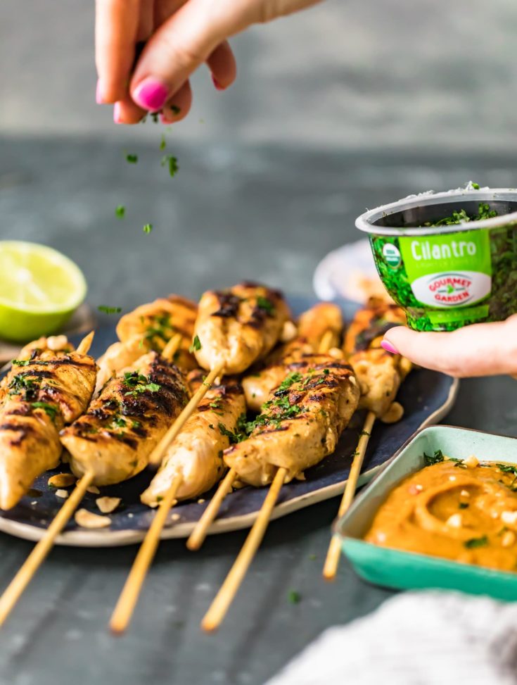 Easy Chicken Satay With Peanut Sauce Recipe The Cookie Rookie® 0674