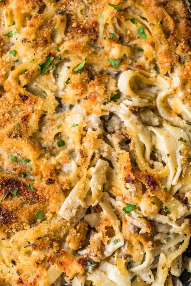 Easy Chicken Tetrazzini Recipe - The Cookie Rookie® (VIDEO!!)