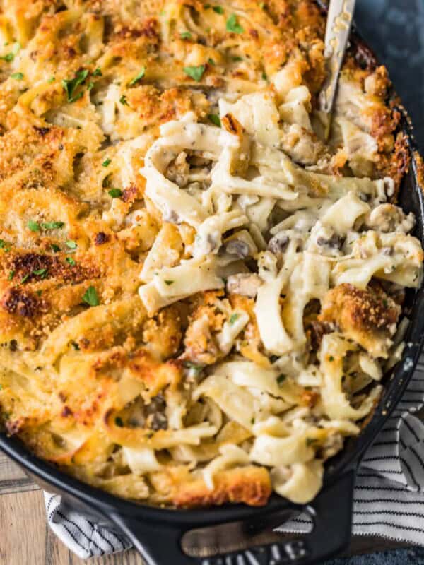 A close up of food, with Chicken and Tetrazzini