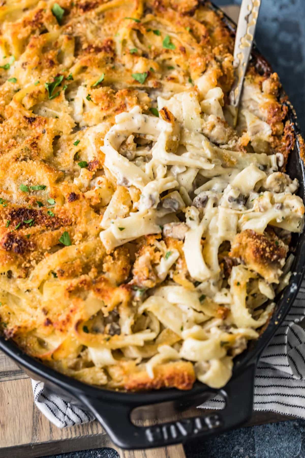 A close up of food, with Chicken and Tetrazzini