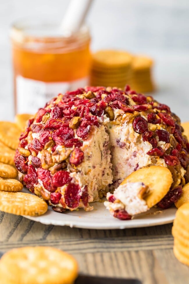 Christmas Cheese Ball Recipe with Orange and Cranberry Recipe - The ...