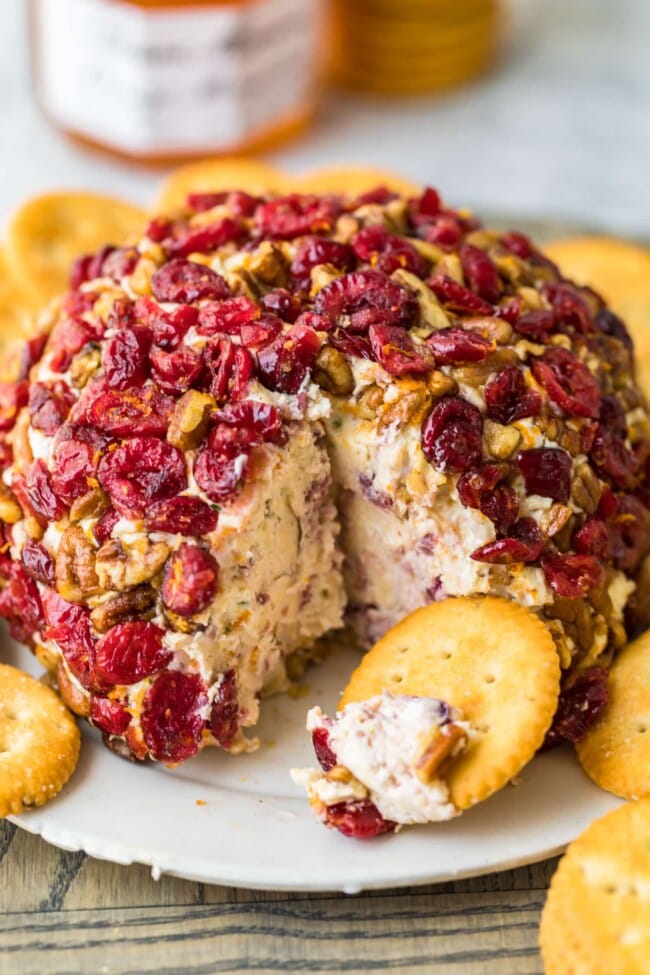 Christmas Cheese Ball Recipe with Orange and Cranberry Recipe - The ...