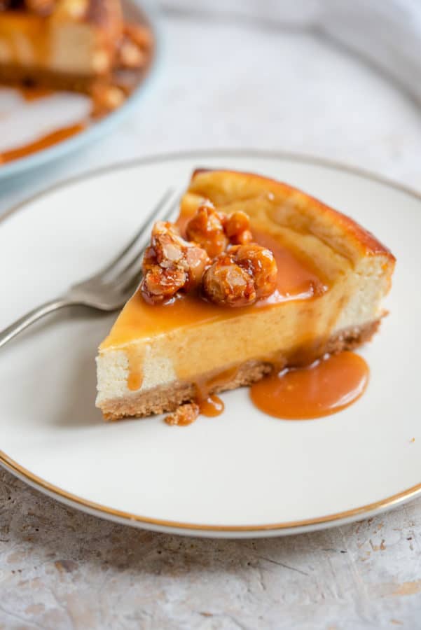 Macadamia Caramel Cheesecake Recipe - The Cookie Rookie®