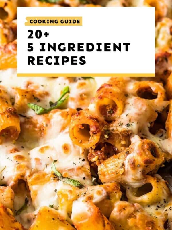 5 ingredient recipes guide