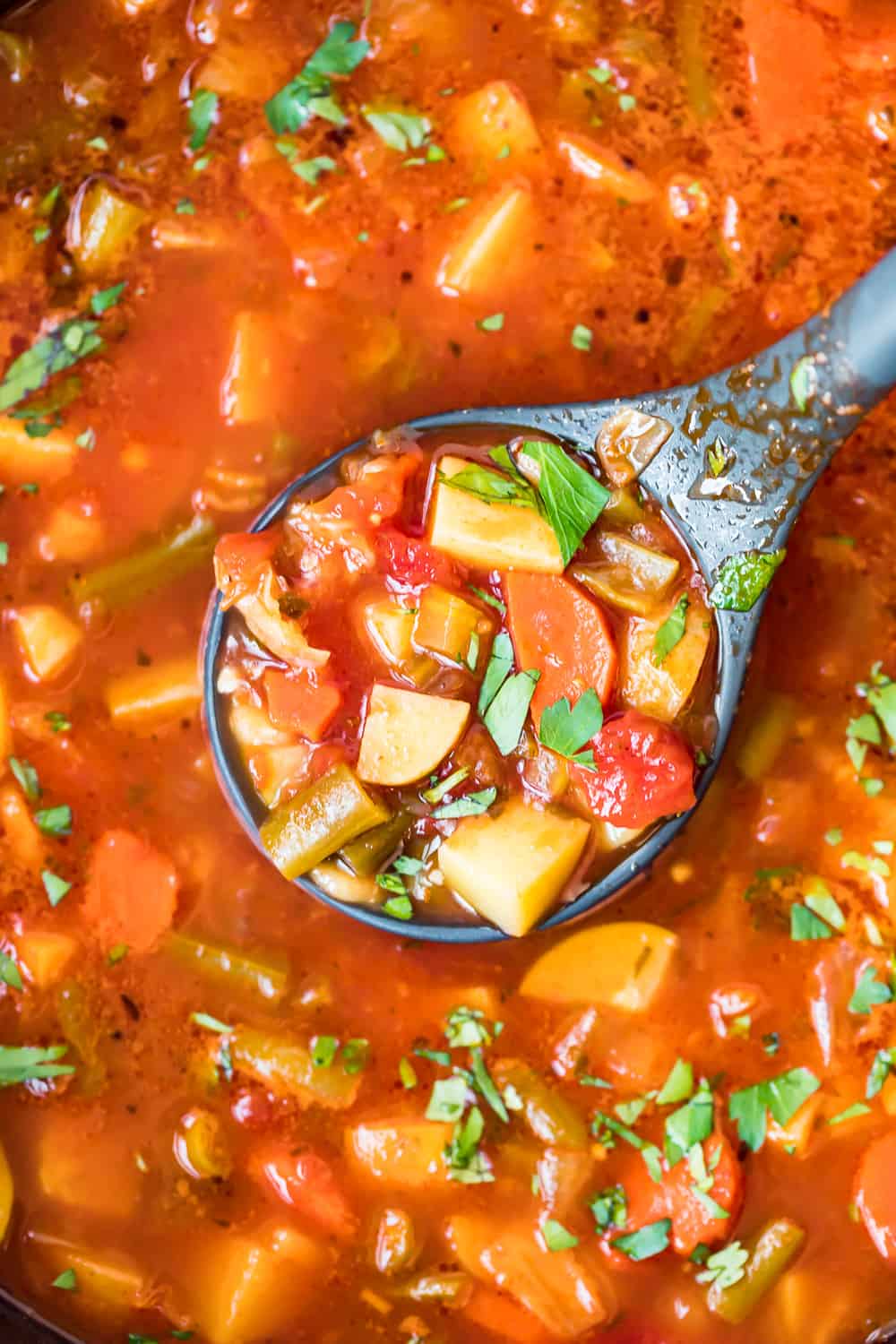 Hearty Vegetable Soup Recipe - The Cookie Rookie®
