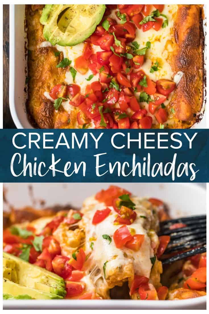 Cheesy Creamy Chicken Enchiladas Recipe - The Cookie Rookie®