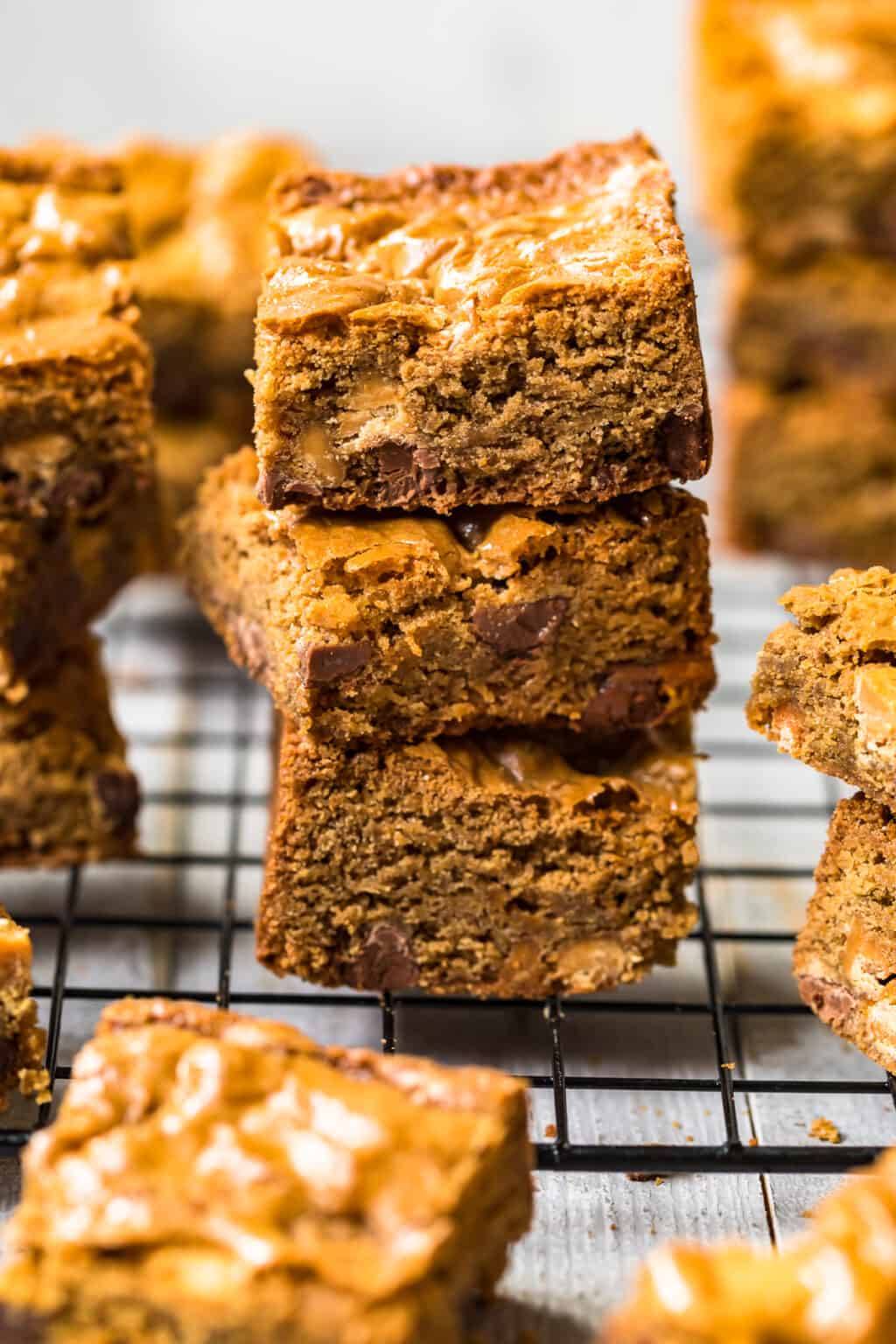 Chocolate Chip Peanut Butter Blondies Recipe - The Cookie Rookie®