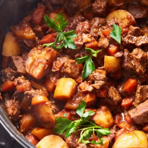 featured dutch oven beef stew