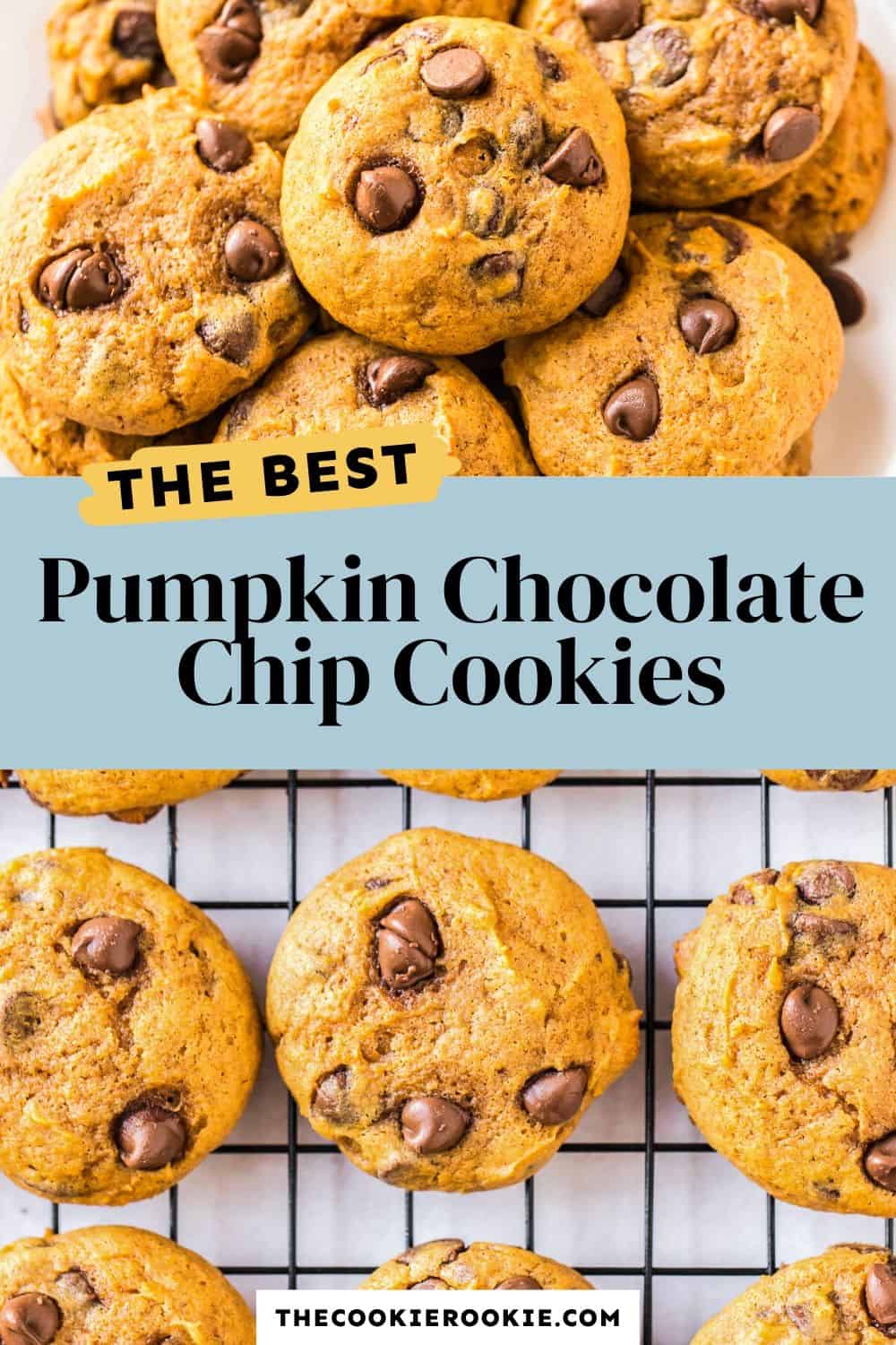 Pumpkin Chocolate Chip Cookies Recipe - The Cookie Rookie®