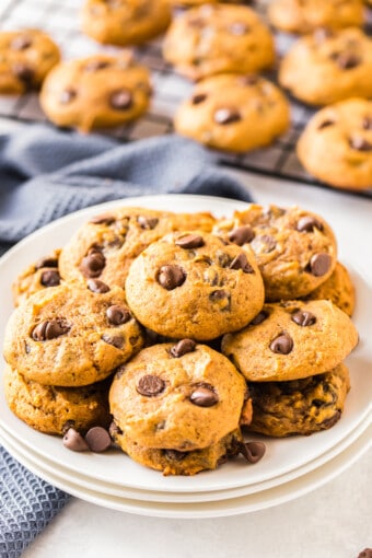 Pumpkin Chocolate Chip Cookies Recipe - The Cookie Rookie®