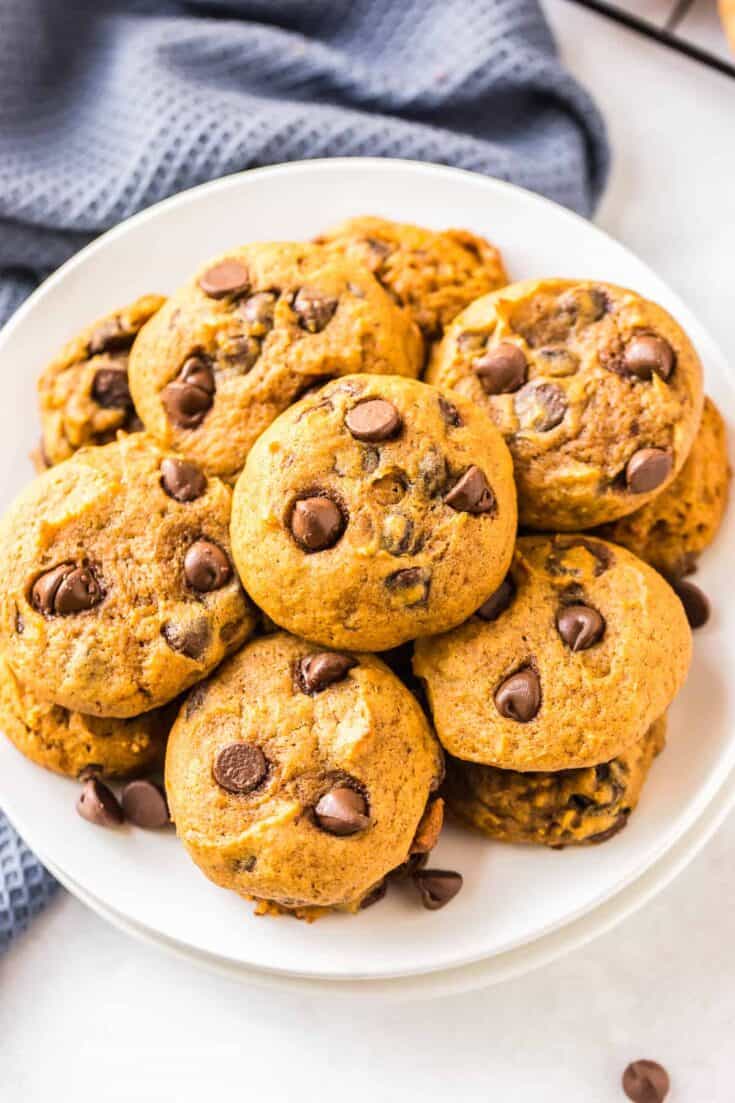 Pumpkin Chocolate Chip Cookies Recipe - The Cookie Rookie®