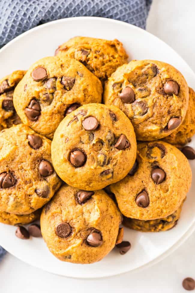 Pumpkin Chocolate Chip Cookies Recipe - The Cookie Rookie®