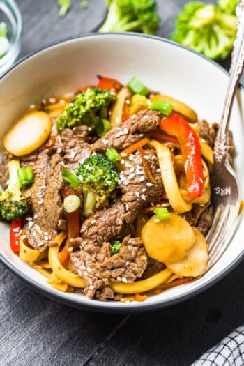 Beef Lo Mein Recipe - The Cookie Rookie®